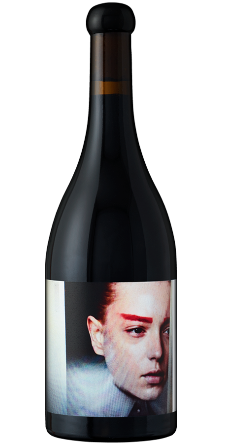 Product Image for 2017 Sta. Rita Hills Pinot Noir 